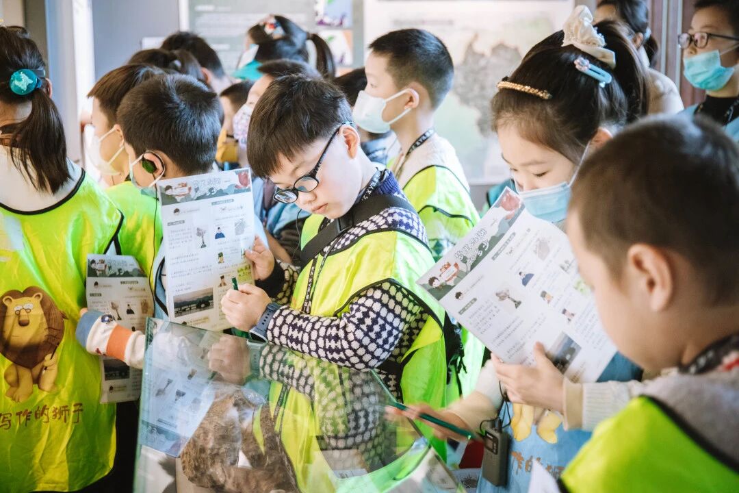 穿统一马甲的孩子在室内认真观看展品阅读资料，浸思研学博物馆课堂实拍
